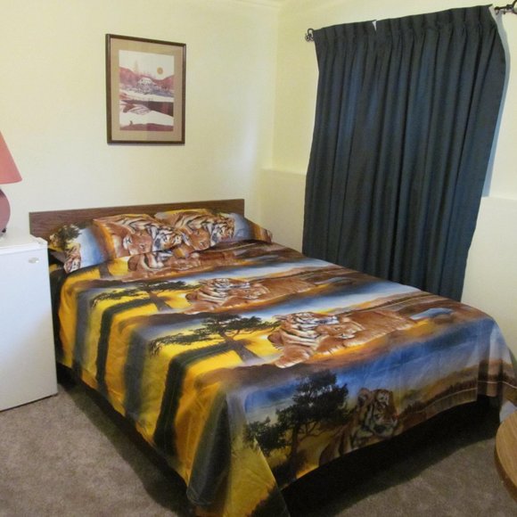 3 piece Queen Duvet cover with Two matching Pillow Covers -  Lion Design - Picture 2 of 6